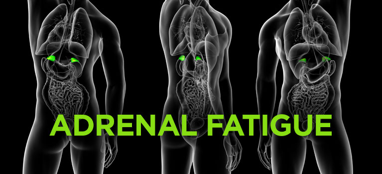 Adrenal Fatigue