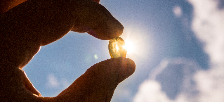 VITAMIN D FOR IMMUNE SYSTEM SUPPORT