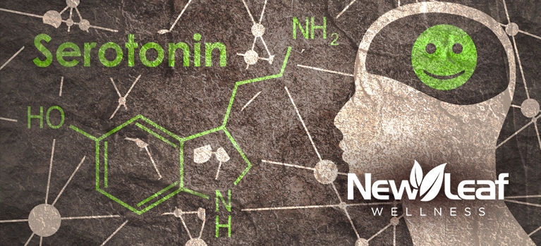 Serotonin: The Natural Mood Booster and the Role of Natural Hormone Therapy