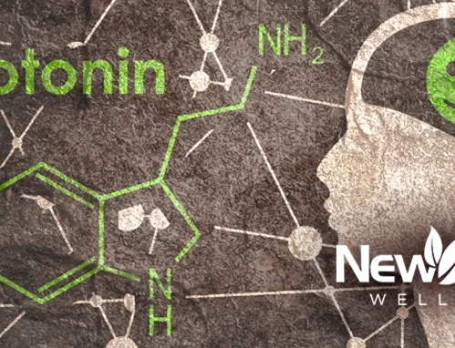 Serotonin: The Natural Mood Booster and the Role of Natural Hormone Therapy